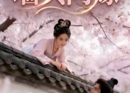 【墙头问嫁】29集热门短剧免费全集速看