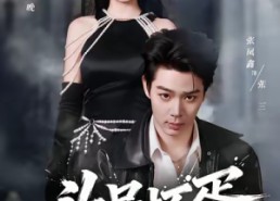 【头号坏蛋】58集短剧免费在线完整赏