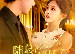 【陆总，夫人她怀了您的崽】89集短剧免费即点即看