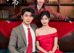 【穿越时空的家书】31集短剧免费全集观览