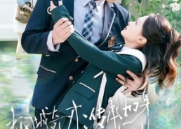 【枫城奇才：传承加身踏清北】80集短剧全集免费畅看