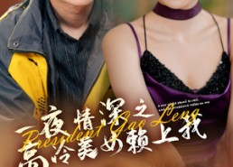 【一夜情深之高冷美女赖上我】71集短剧免费在线完整看