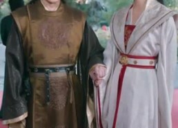 【丑颜医妃要休夫】86集短剧免费在线观视