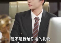 【报告总裁，夫人偷生了个崽】91集短剧免费在线完整观看