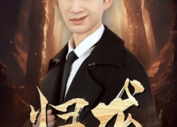 【归龙】39集短剧全集资源在线播放