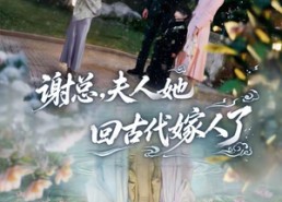 【谢总，夫人她回古代嫁人了】61集精彩短剧免费在线播放