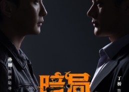 【暗局】40集短剧免费在线观看无卡顿
