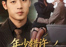 【年少错许平生愿】65集免费短剧在线观全