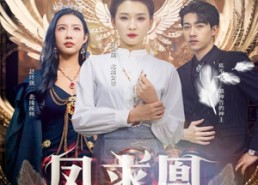 【凤求凰我的老婆是女帝】97集短剧资源全网快看