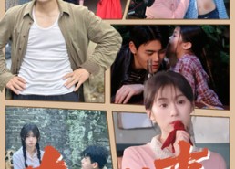 【东北往事】60集全集短剧免费随心看