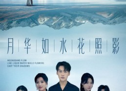 【月华如水花照影】74集短剧免费在线观看