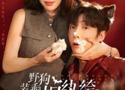 【野狗装乖！拿捏纨绔太子爷】80集短剧全集免费观看