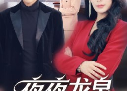 【夜夜龙泉壁上鸣】63集短剧在线完整观看