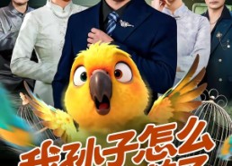 【我孙子怎么成鹦鹉了】71集短剧完整版免费观