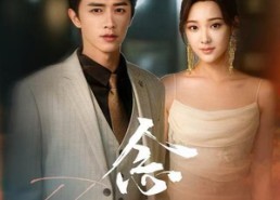 【念君】60集高清短剧免费全集观看