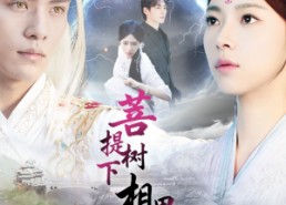 【菩提树下相思烬】63集短剧在线免费尽情看