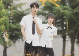 【栀子花落状元红】50集免费短剧全集在线播