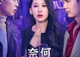 【奈何真心付流水】46集免费短剧在线赏看