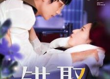 【错娶】80集短剧免费高清在线看