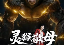 【灵猴敬母】50集短剧高清全集免费观看