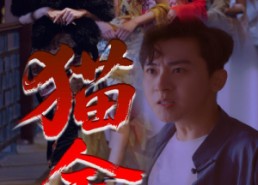 【猫舍】34集短剧免费全集畅享观看