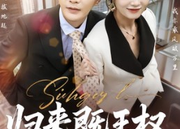 【归来既王权】80集短剧全集免费畅快看