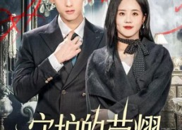 【守护的荣耀】69集短剧免费在线全览