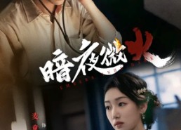 【暗夜微火】80集在线短剧免费畅看全集