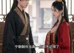 【嫡女重生，权倾京华嫁太子】41集短剧免费高清观看