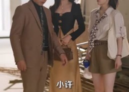 【江总，请保持乙方自觉】69集短剧在线畅享观看