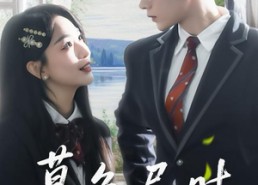 【暮色尽时】100集短剧全集在线免费欣赏