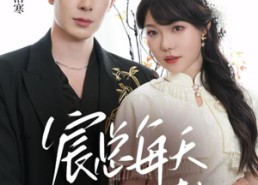 【宸总每天都想入赘】65集在线短剧免费全集观