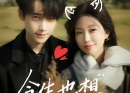 【今生也想遇见你】69集短剧免费高清在线看