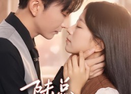【陆总，余生温柔予我】59集短剧完整版免费看