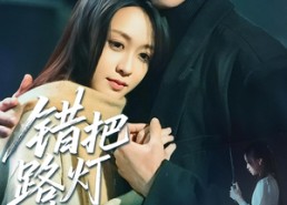 【错把路灯当月光】40集短剧免费全集赏览