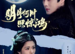 【明月何时照惊鸿】80集免费短剧在线畅快观看