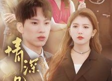 【情深几许】66集在线短剧免费全集畅看