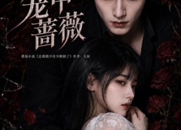 【厉先生的笼中蔷薇】100集短剧免费在线高清看