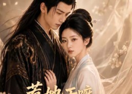 【惹她干嘛，她二嫁但皇帝心尖宠2】93集优质短剧在线免费享