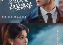 【聚会亮出身份，总裁老婆却要离婚】81集短剧免费在线高清看