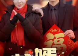 【龙婿归来】27集短剧在线免费完整收看