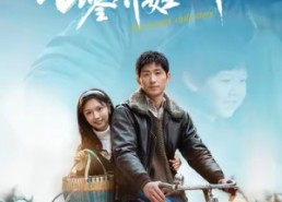 【七零养娃日常】85集短剧在线免费全集追