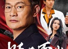 【挺身而出】30集免费在线短剧观看