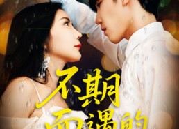 【不期而遇的33天】45集短剧免费高清在线看