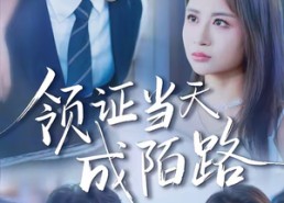 【领证当天成陌路】39集免费短剧全集赏看