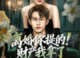 【离婚你提的！财产我拿了】63集短剧免费在线赏全集