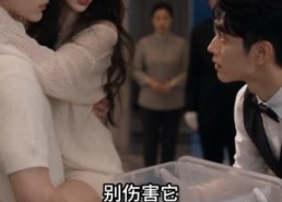 【楚小姐今天也很耀眼第二季】95集短剧在线高清观看