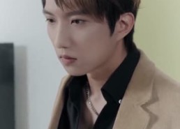 【夫人最爱打负心汉】65集短剧免费全集畅快观