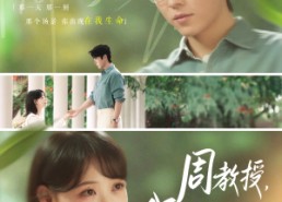 【周教授我们结婚吧】82集短剧高清在线观看