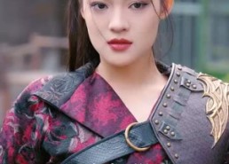 【龙啸山河】87集短剧免费在线观映